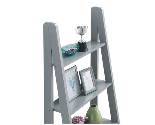 Ladder Bookcase
