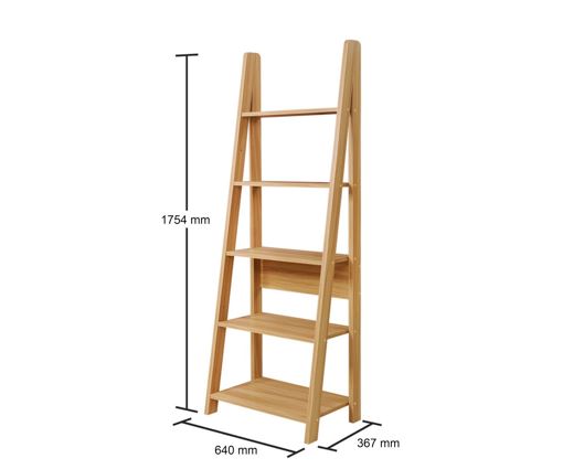 Ladder Bookcase
