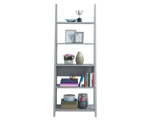 Ladder Bookcase