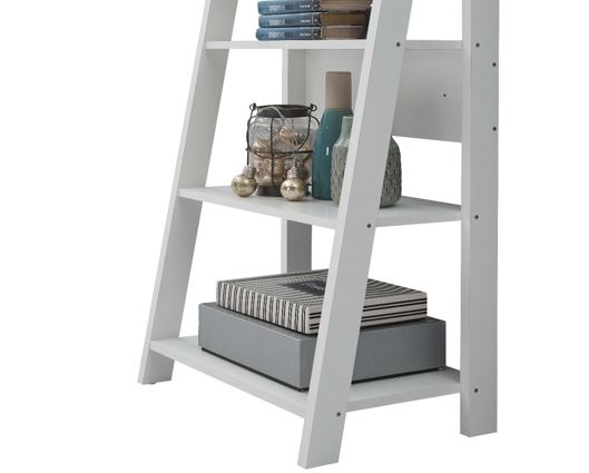 Ladder Bookcase