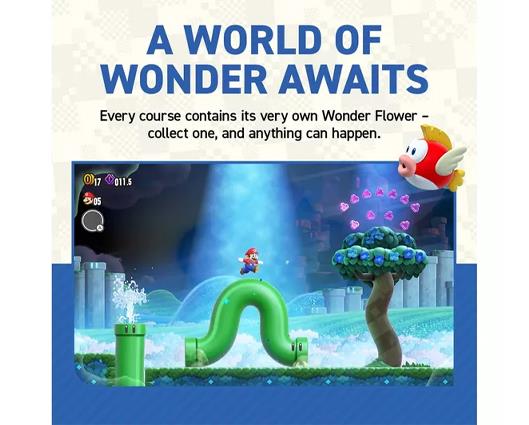 Nintendo Switch 1.1 Console with Super Mario Bros. Wonder
