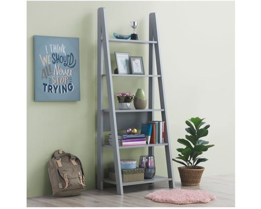 Ladder Bookcase