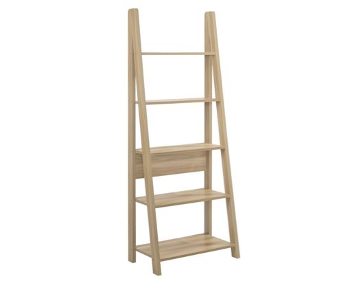 Ladder Bookcase