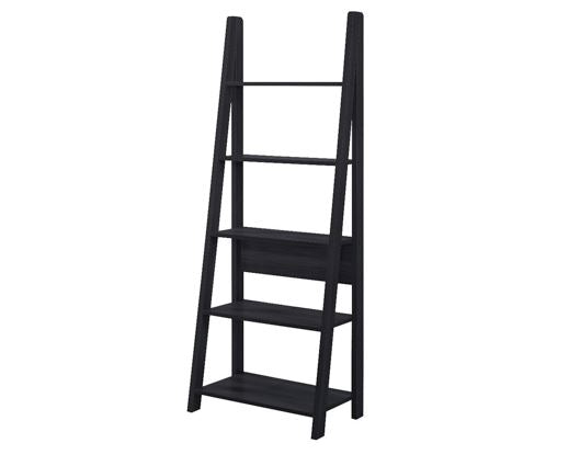 Ladder Bookcase