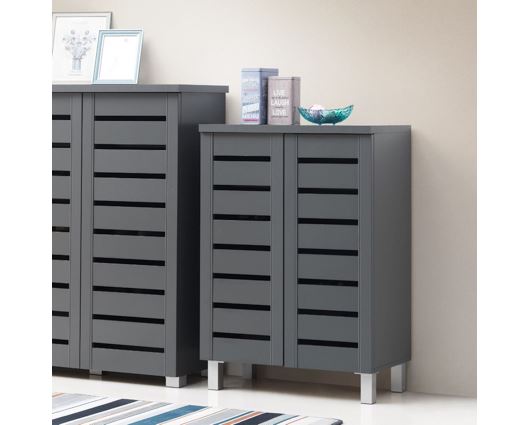 2 Door Shoe Cabinet