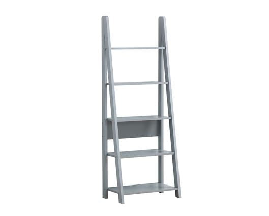 Ladder Bookcase