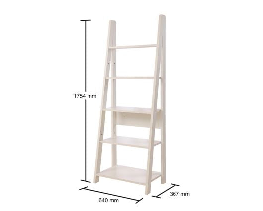 Ladder Bookcase