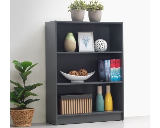 Low Wide Bookcase