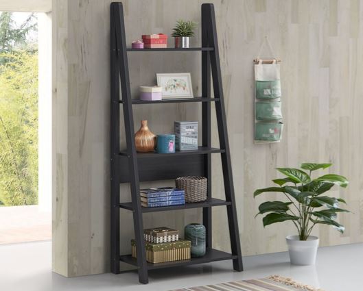 Ladder Bookcase