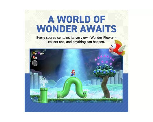Super Mario Bros. Wonder (Nintendo Switch)
