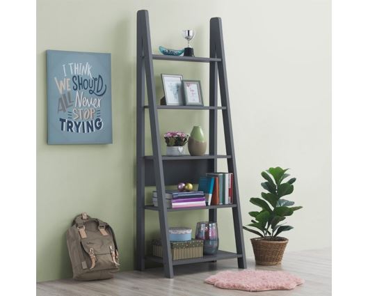 Ladder Bookcase