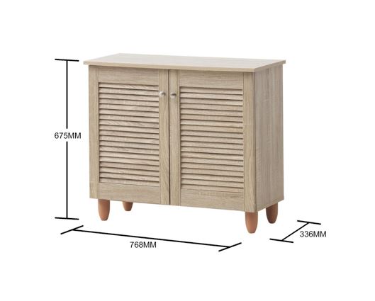 2 Door Shoe Cabinet