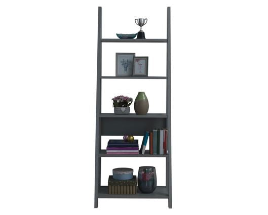 Ladder Bookcase