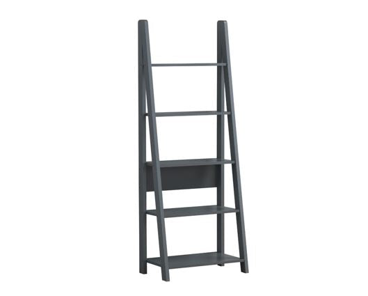 Ladder Bookcase