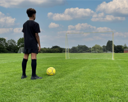 Kickmaster Premier Goal 8ft