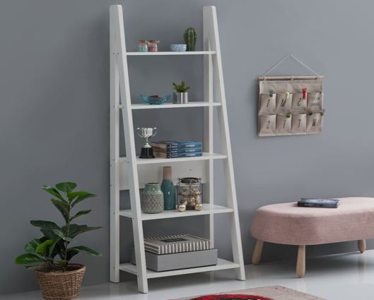 Ladder Bookcase