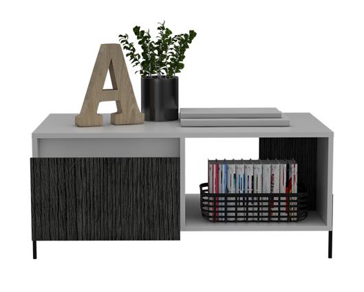 Dallas Coffee Table with 2 Doors