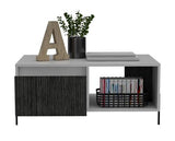 Dallas Coffee Table with 2 Doors