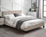 Rosa Velvet Bed in a Box Cream - King