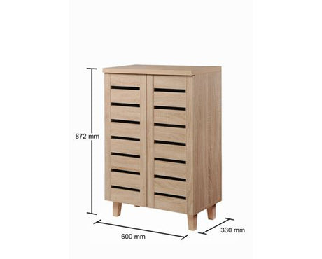 2 Door Shoe Cabinet