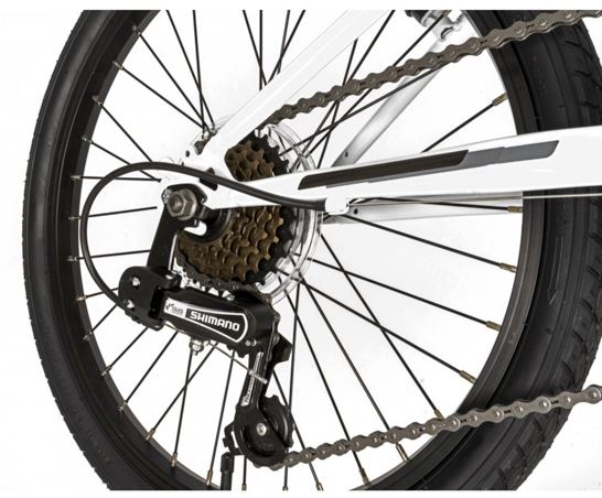 Falcon Starlight 20"