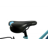 Falcon Expression 17" LowStep (Hybrid)