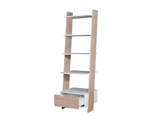 Pexton Ladder Bookcase with Drawer