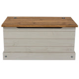 Corona Grey Storage Trunk