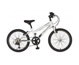 Falcon Starlight 20"