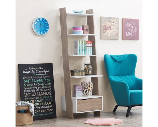 Pexton Ladder Bookcase with Drawer