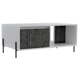 Dallas Coffee Table with 2 Doors