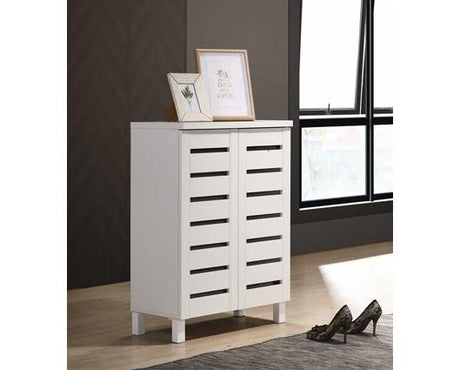 2 Door Shoe Cabinet