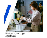 HP DeskJet 2922 All in One Printer